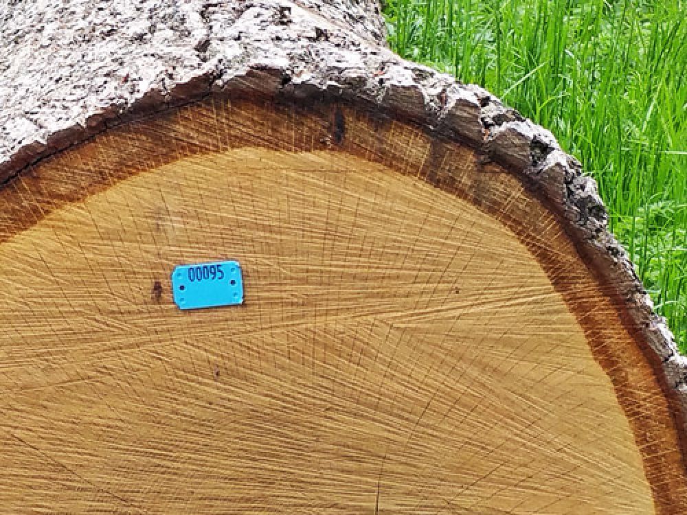 Shop Holzprodukte vom Zweckverband Unterer Hauenstein